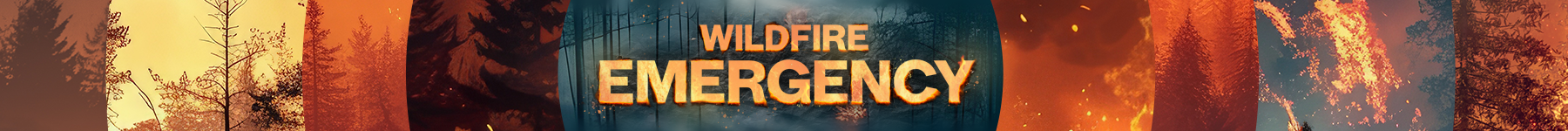 Wildfire Emergency